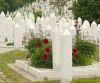 На Таллиннских кладбищах проходит инвентаризация