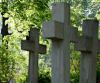 Подмосковные кладбища и крематории переходят в областное подчинение